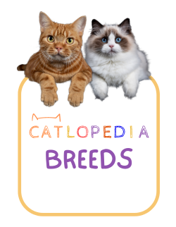 Two cats lying above the breeds sign