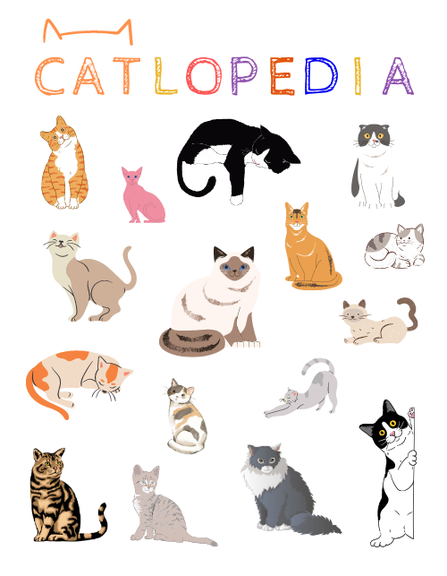 Catlopedia Illustrated Cats Poster