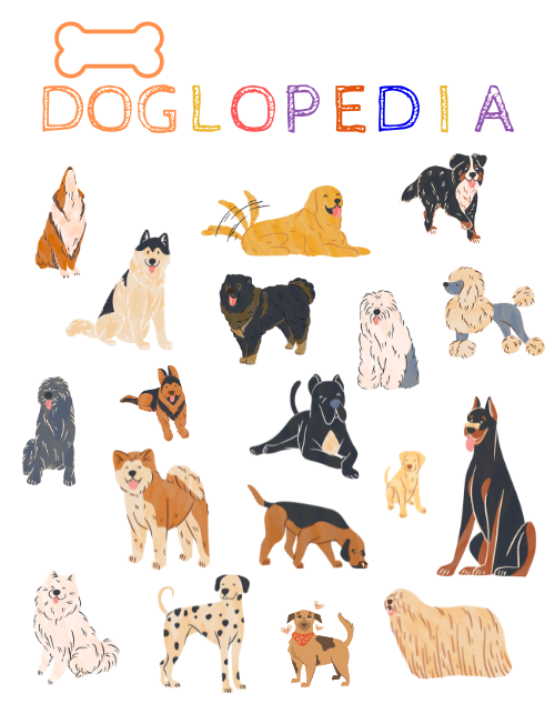 Doglopedia Illustrated Dogs Poster